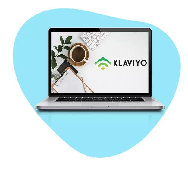 Shopify klaviyo Services