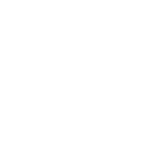 Paid Media Advertising