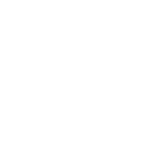Shopify Development Services