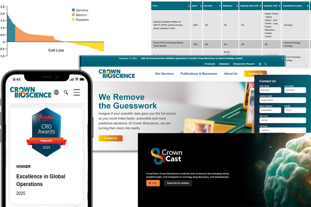 Shopify Store Development Services